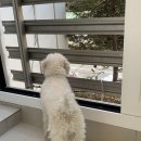 슈퍼맨크리닝 이미지