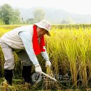 이기수농장 이미지