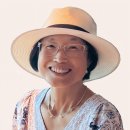 씨-메디텍 이미지
