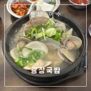 한끼국밥 | 전남 여수 한 끼 든든하게! &#34;여수광장국밥&#34; 솔직 후기/리뷰 !!!
