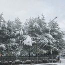 정왕대로 이미지