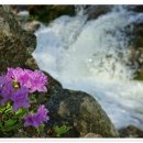 계곡이 있는 풍경 이미지