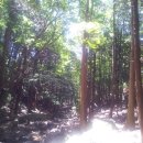 동아대학교의료원 이미지