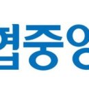 엔피엘대부