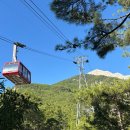 관광 | 튀르키예 :: 7박9일 모두투어 패키지여행 🚩선택관광 후기(추천/ 비추천)