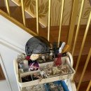 자오헤어 이미지