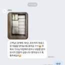 선유즈