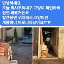 헝겊고양이가 구조될수있도록 따뜻한엄마고양이협회를 응원해주세요 이미지