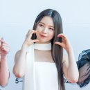 마야 카카오 검색결과