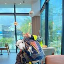 CU 강북제일점 | 가을 북한산 백운대 등산코스 난이도, 왕복 소요시간, 북한산 단풍 + 북한산 카페 맛집