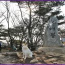 2월 산행계획(제118번째) : 서울인근 청계산입니다. 이미지