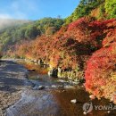 철암초등학교 | 태백 단풍 백패킹 페스티벌, 철암·구문소에서 만나는 가을 단풍 여행지