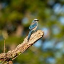 CW-1400-01 이미지