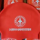 한국수상레저안전연합회