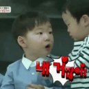 고산무궁화오토캠핑장 이미지