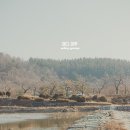 남천제방길 | 경주걷기여행 경주길 시내구간 3-8 코스 알천제방수개기