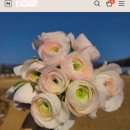 항사농장 이미지