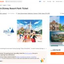 주식회사 씨앤드 | 일본 도쿄 디즈니랜드 후기 티켓 dpa 놀이기구 퍼레이드