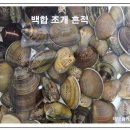 백합 이미지