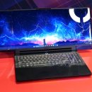 B.M Motors 이미지