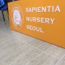 사피엔시아널써리서울 | 사피엔시아널써리서울 SNS 포멕스박스