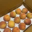 광인농장 이미지