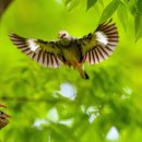 이소농장 이미지