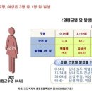 당근(carrot) 이미지