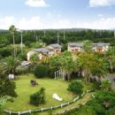 제주 야자원 이미지