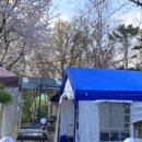 늘푸른숲 이미지