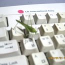 컴퓨터온 이미지