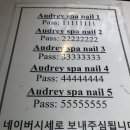 황제네일
