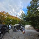 웅이네 캠핑장 | 🎃 순천 웅이네캠핑장 | 친구 가족과 함께한 할로윈 캠핑 🎃