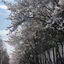 열매약국 이미지