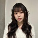 풍성한미용실 이미지