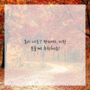 휴먼피부과의원 수원망포점 이미지