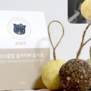 고체설거지바 만들기 이미지