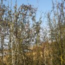 우복농장 이미지