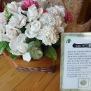 닥터존.족욕 이미지