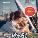 반려담 이미지