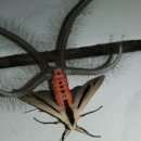 원밸런스