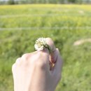 구리시민공원 매점 이미지