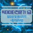 빅데이터 전문가 1급 자격증 취득과정 및 학습후기