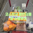 (주)씨엘피코리아 | [쇼핑] 코스트코 4월 첫째주 할인상품 및 쇼핑후기