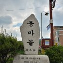 6월 4일 일요일 관악산 초보산행(용마북능선) 이미지