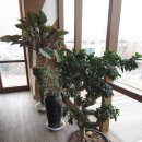 가톨릭상지대학교 이미지