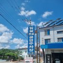 청정임실 성미당 | [임실 맛집] 더운 여름날 보양식 삼계탕이 맛있는 성미당 방문후기