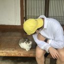 올스테이인 이미지