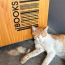 룰루랄라 이미지