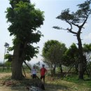 지열목장 이미지